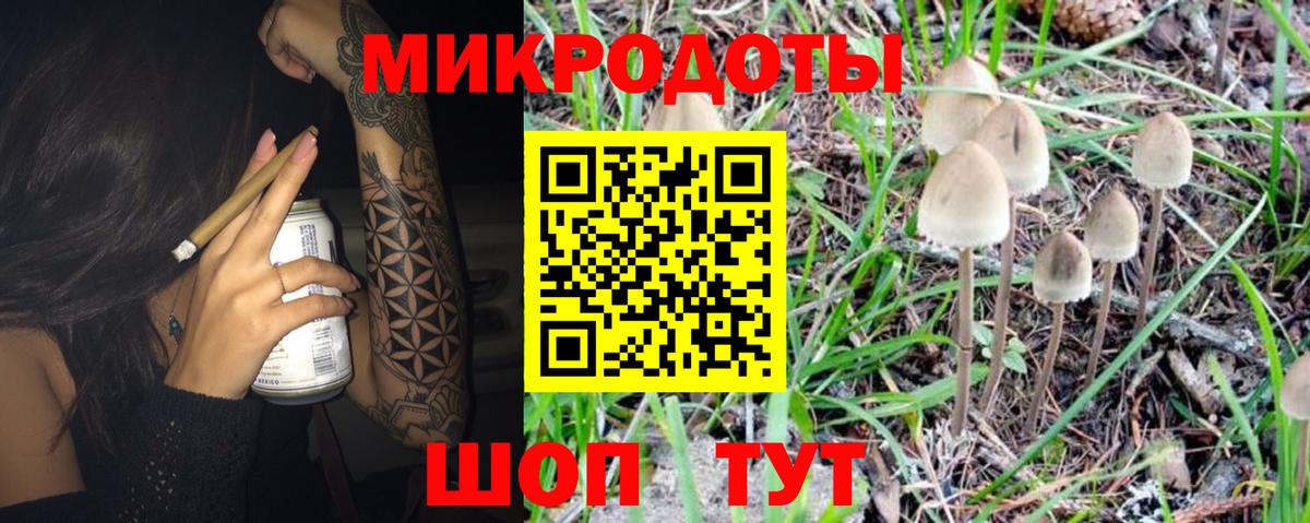 Галлюциногенные грибы Psilocybine cubensis  Вход с VPN  Рязань 
